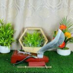 {2in1} কম্বো প্যাক